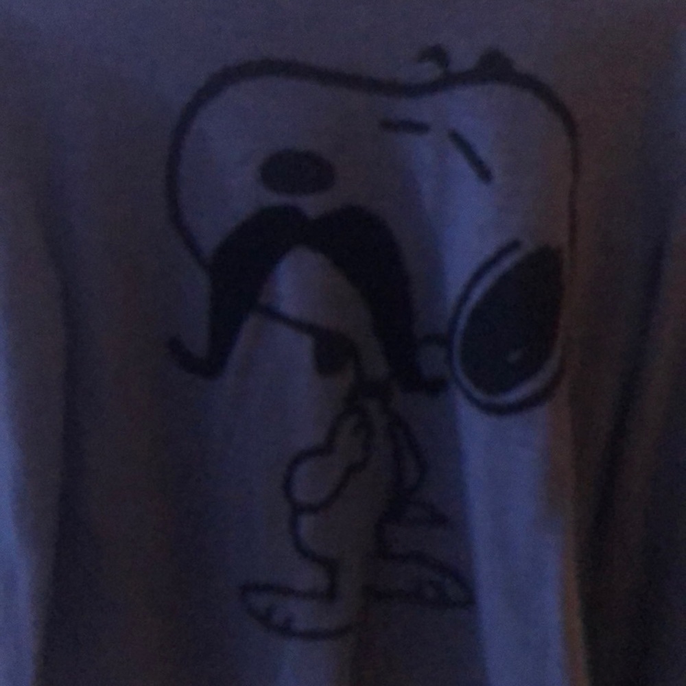 Peanuts snoopy sweater